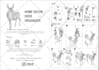 create a step by step instruction manual for your product