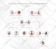 design your  organization chart, genealogy family tree