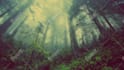 give 1000 full HD nature video and drone video for youtube