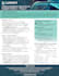design one pager executive summary, investment teaser or capability statement