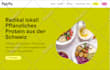 fix CSS, HTML,js, PHP, wordpress themes and plugins