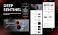 design or redesign a professional wordpress business website or landing page