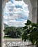 resize photo, change dimensions to high resolution 300 dpi