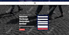 do wordpress updates, website customization, design or redesign