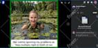 increase reactions to your facebook posts