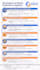 design infographic chart, flow diagrams and any design, 24hr