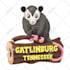 create cute cartoon animated stickers and emoji