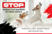 design awesome website banners, banner ads, google ads