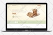 design and develop a shopify store for you