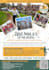 design any professional poster or flyer