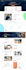 design divi landing page, divi wordpress website, figma to divi, fix divi issues
