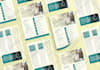 design a professional flyer or brochure for your business