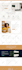 setup automated dropshipping shopify store website