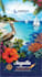 use adobe illustrator and adobe photoshop for custom graphic designing