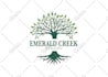 do professional modern unique natural business logo design