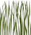 design patterns for textiles and any other surface