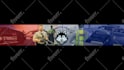 design the perfect banner or header for your website