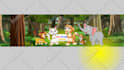 create 2d animation story for your youtube channel