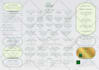 design modern, professional, custom digital restaurant menus