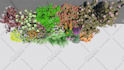 create 3d botanical design with expert plant selection