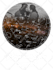 custom night sky star map important moment