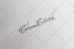 create modern handwritten, script, calligraphy logo