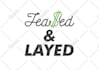 manually vectorize and redraw your logo or sketch