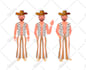 design a professional 2d digital character design