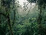 create rain video with natural sound in a cozy room