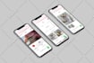 create and setup premium shopify store
