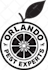 create a professional logo