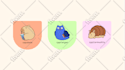 design a custom vector illustration for you