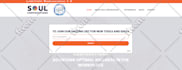 design responsive wordpress website by divi theme