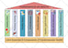 draw professional medical illustrations
