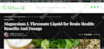 your exclusive blog manager using expert SEO tactics