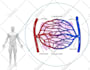 illustrate scientific figures for journal publications