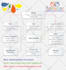 design business infographic, workflow, process flow, org chart, flowchart