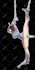 make your anime nsfw art