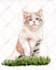 paint dog, cats, whatever pet portrait with watercolor