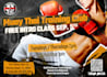 do boxing, mma, ufc, kickboxing, fight night flyer