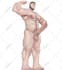 draw bara men ocs fanart and sfw nsfw