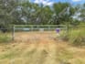 do sky replacement and grass in real estate photos quickly