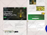 build professional responsive wordpress website design or blog