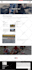 create wordpress business website development fast