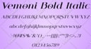 design a unique custom font for your logo, brand or project