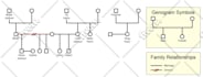 create a correct and detailed genogram