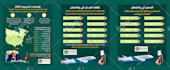 design a professional arabic infographic social media designs