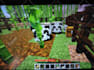 run errands and do your work professionally in minecraft