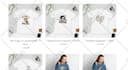 do shopify store design or dropshipping store