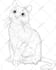 draw a professional dog or cat illustration for you